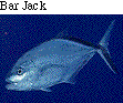 IMAGE Imgs/fishlist06.gif