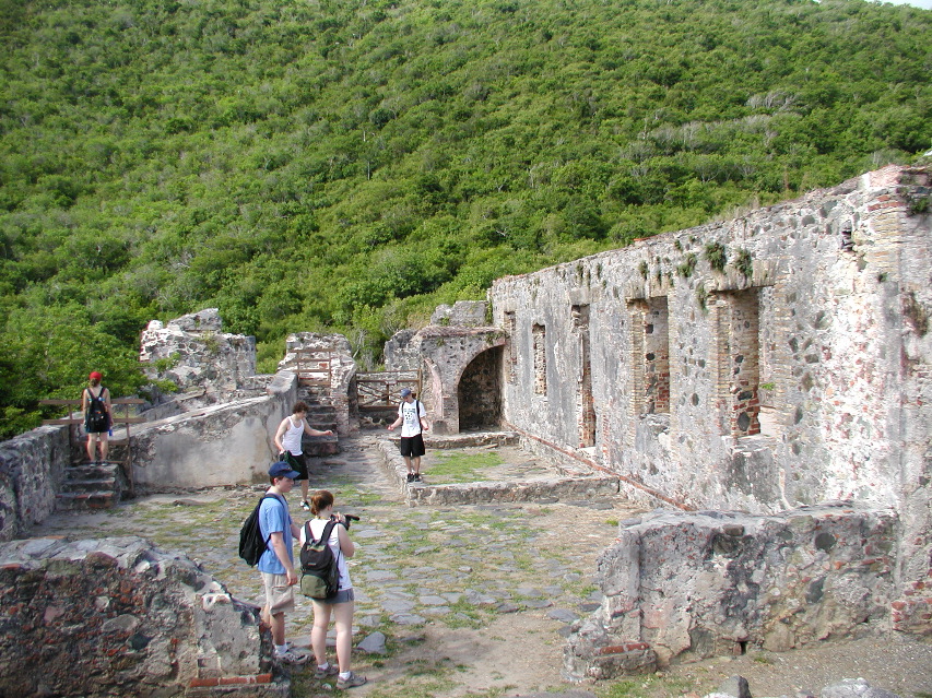 P6010015.JPG