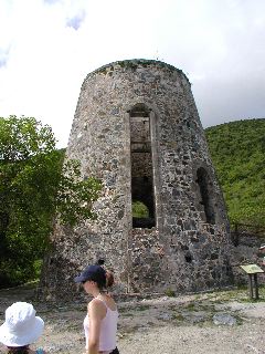 P6010002.JPG