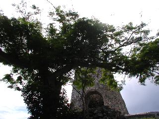P6010021.JPG