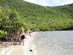 P6050008.JPG