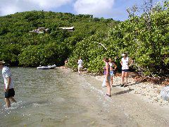 P6050011.JPG