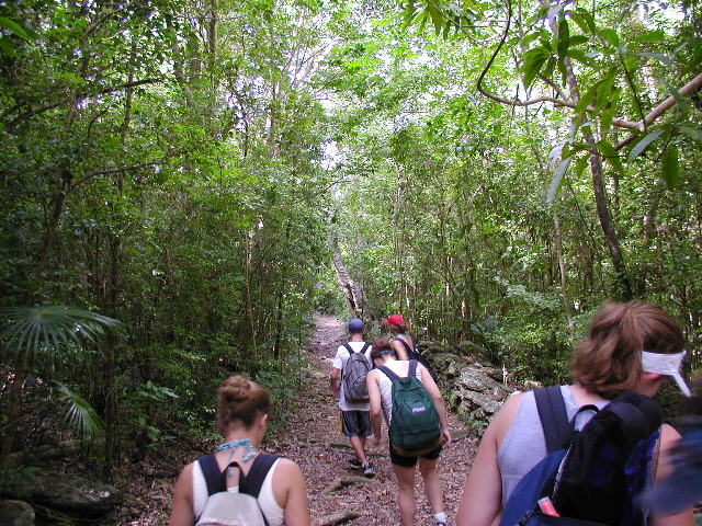 On the Reef Bay Trail