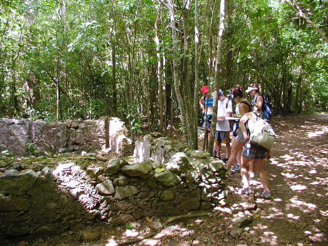Plantation Ruins