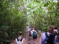 On the Reef Bay Trail