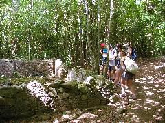 Plantation Ruins
