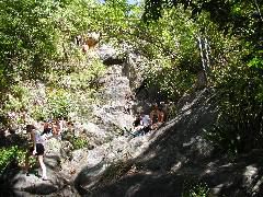 Petroglyphs