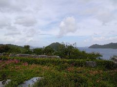 P6060001.JPG