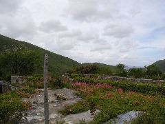 P6060002.JPG