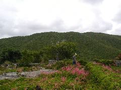 P6060015.JPG